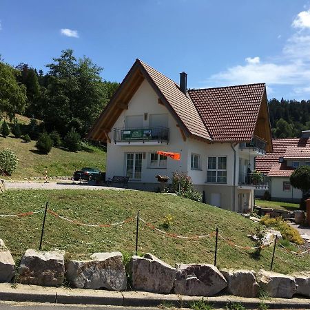 Apartment Ferienwohnung Brandmatt - Weitblick - 54Qm Засбахвальден Экстерьер фото