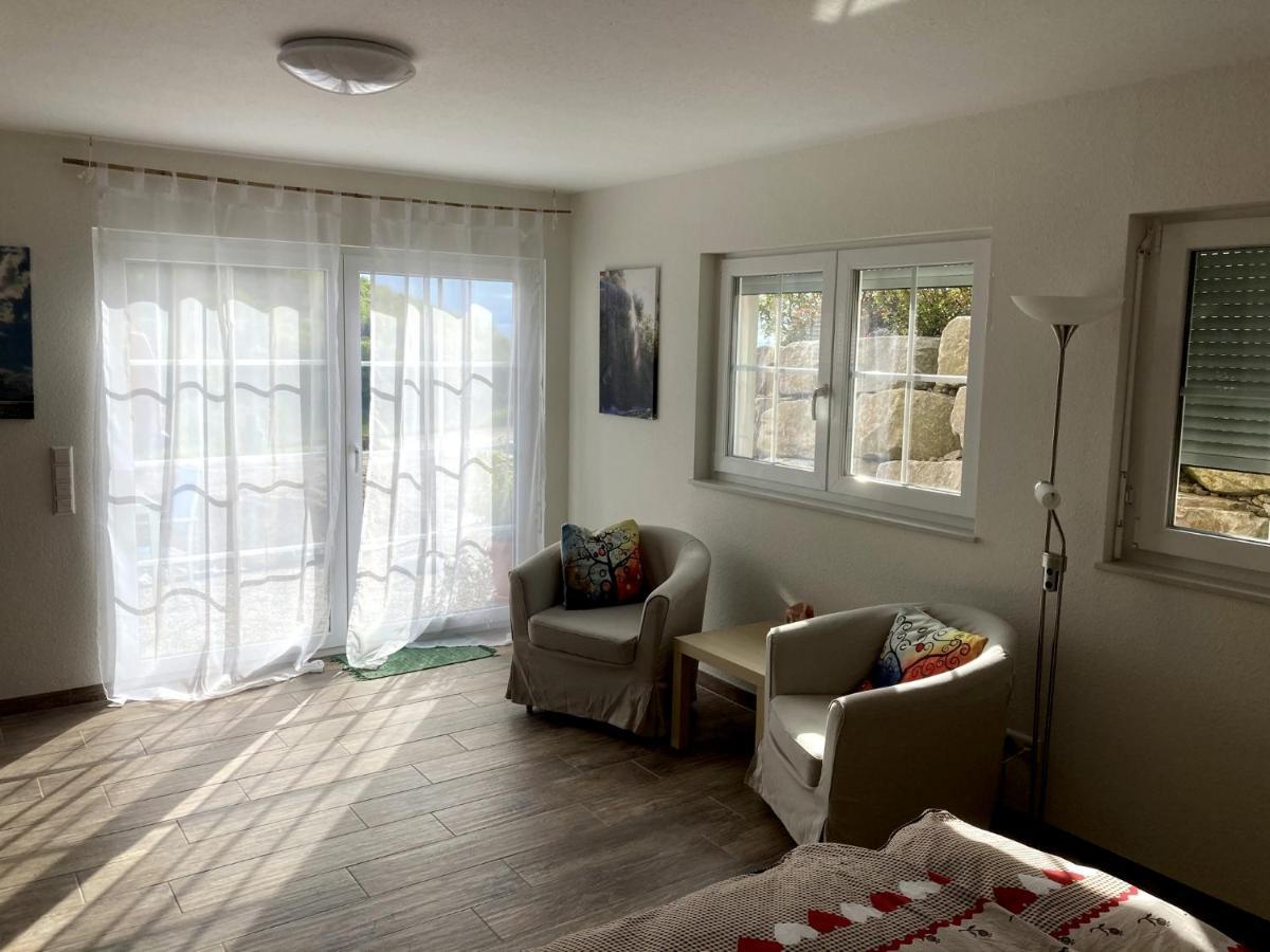 Apartment Ferienwohnung Brandmatt - Weitblick - 54Qm Засбахвальден Экстерьер фото